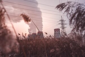 115860691_m_normal_none