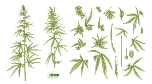 147587029_m_normal_none