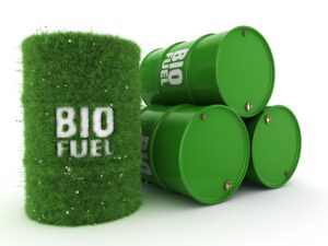 66702599_m_normal_none